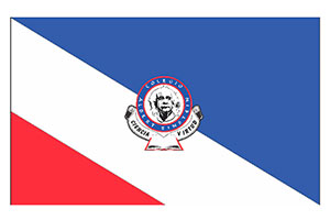 Bandera Institucional